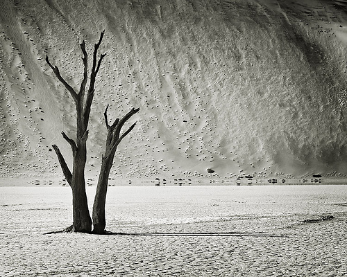 La imagen de la semana: “DEAD VLEI (III)” de Latzucac