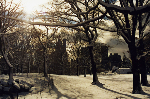 La imagen de la semana: “Invierno en Nueva York” de Isaías Fanlo 