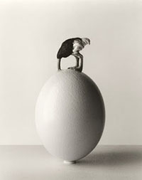 Chema Madoz