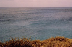 Diego Aldasoro