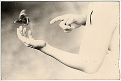 Masao Yamamoto