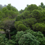 justPictures &raquo; Valldemossa (#6852)