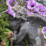 El diletant perplex » angelot amagat