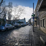 SantiMB Photos &raquo; El cuello de botella verde