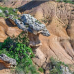 Paisatge i natura » La Roca del Bolet