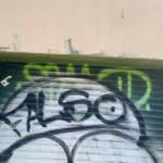 Muros Hablados &raquo; FALSO