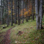 SantiMB Photos » Entre pinceladas de otoño
