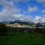 justPictures &raquo; Selva (#6917)