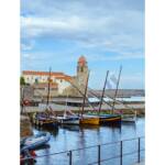 Vidas callejeras » Reflejos de Collioure