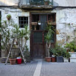 El diletant perplex &raquo; verdejant el barri