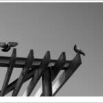 Clic clac foto! &raquo; ATERRATGE