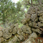 justPictures &raquo; Mancor de la Vall (#6909)