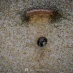 SantiMB Photos &raquo; Asomado al mundo