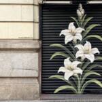 Muros Hablados &raquo; Tres lliris