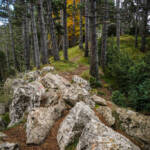 SantiMB Photos » Cuidado con los tobillos