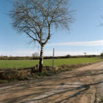 El diletant perplex &raquo; solituds