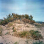 El diletant perplex &raquo; duna