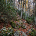 SantiMB Photos » Montaña arriba