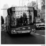 Clic clac foto! » REFLEXES