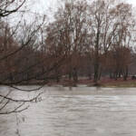 Generació...(imatges latents) &raquo; llevantada (al riu)