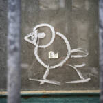 El diletant perplex &raquo; concepte d’ocell