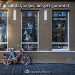 SantiMB Photos &raquo; Géneros de punto