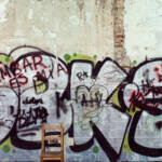 El diletant perplex » Solituds