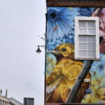 El diletant perplex » mitgera colorida