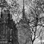 IMAGEN imaginaria &raquo; New York: The Empire