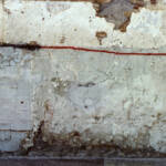 El diletant perplex » porteria