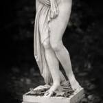 Martin Gallego » Venus púdica