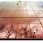 Clic clac foto! » ARBRES ENGABIATS