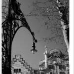 Clic clac foto! &raquo; PASSEIG DE GRÀCIA - 1