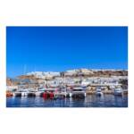 Vidas callejeras &raquo; Gigantes de cemento