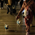 WorkPhoto » La Rambla.