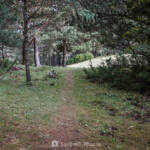 SantiMB Photos » Siguiente hito