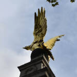 Lumen imago » Águila