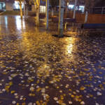 Lumen imago &raquo; Centelleo