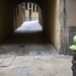 El diletant perplex &raquo; punt verd