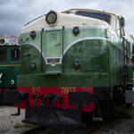 El diletant perplex &raquo; veterana