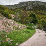 SantiMB Photos » Miquelet