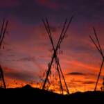 Martin Gallego &raquo; La collita