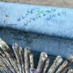 Muros Hablados &raquo; Bona Setmana Santa