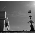 Clic clac foto! &raquo; FUNDACIÓ JOAN MIRÓ - 50 ANYS (3)