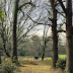 Toni &raquo; Common_5974