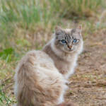 Miguelemele &raquo; Mirada cautivadora