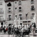 Dabnotu » Caught in sunlight /