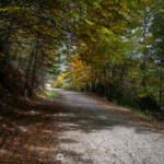 SantiMB Photos » Agradable paseo