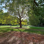 Lumen imago &raquo; Paz