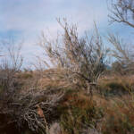 El diletant perplex &raquo; modelat pel vent